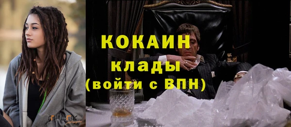 стафф Арсеньев