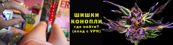 ПСИЛОЦИБИНОВЫЕ ГРИБЫ Белокуриха