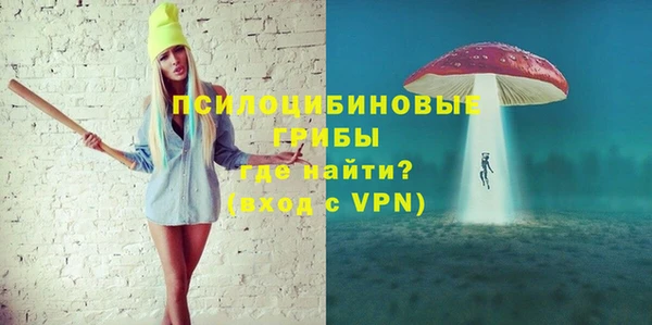 ГАЛЛЮЦИНОГЕННЫЕ ГРИБЫ Беломорск