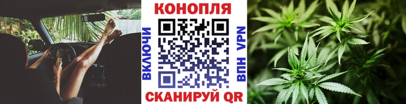 Бошки Шишки планчик  Качканар 